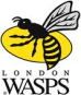 wasps-img